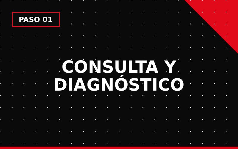 Consulta y diagnóstico