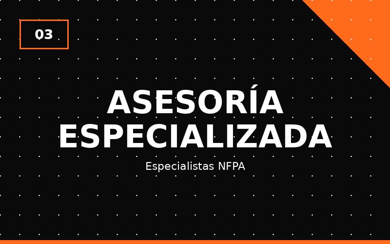 Asesoría especializada